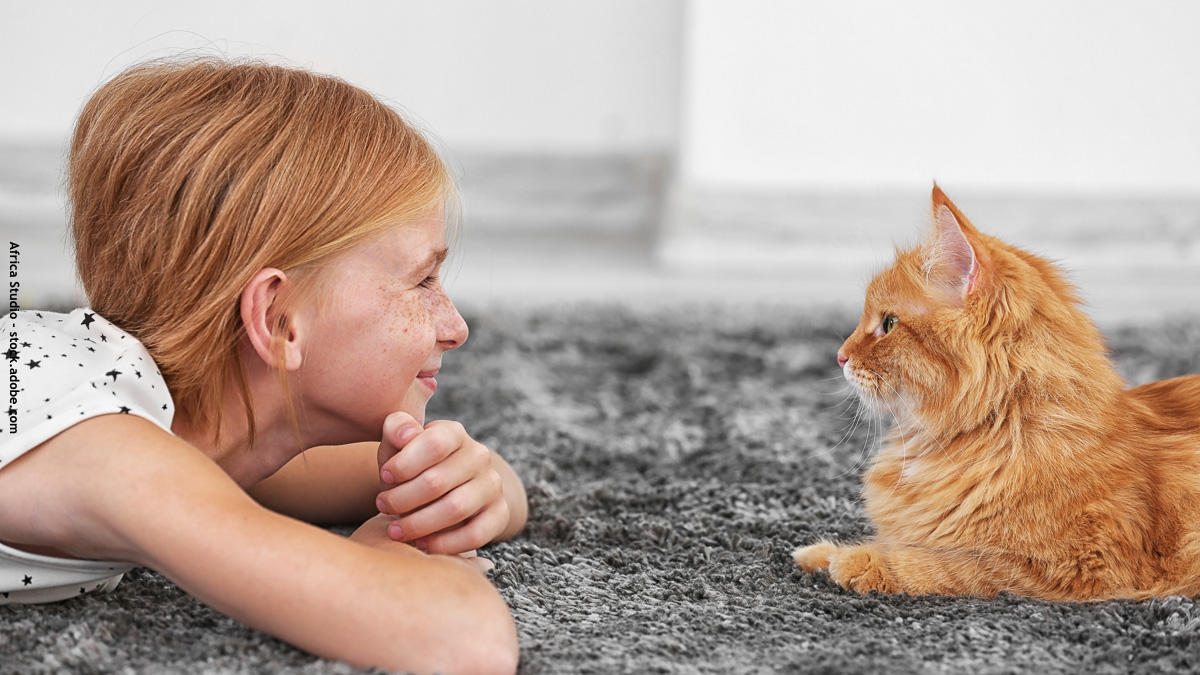 Jeune fille qui regarde un chat allongé