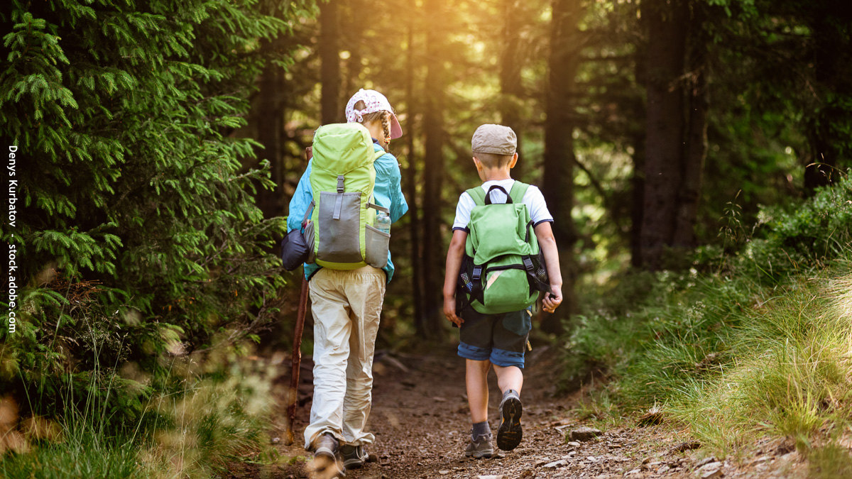 Deux enfants qui font de la randonnées dans la forêt