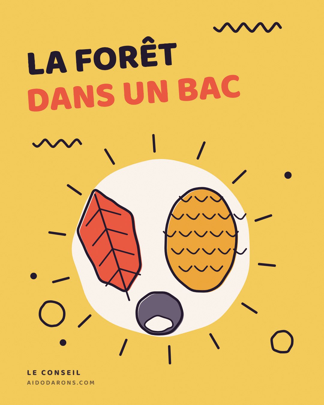 Affiche : La forêt dans un bac